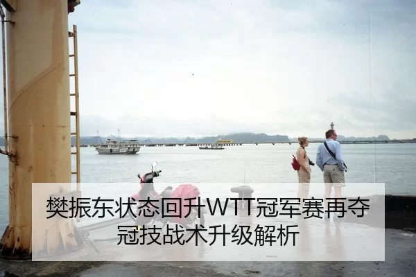 樊振东状态回升WTT冠军赛再夺冠技战术升级解析