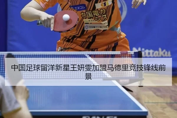 zhong-guo-zu-qiu-liu-yang-xin-xing-wang-yan-wen-jia-meng-ma-de-li-jing-ji-feng-xian-qian-jing-2-173.jpg
