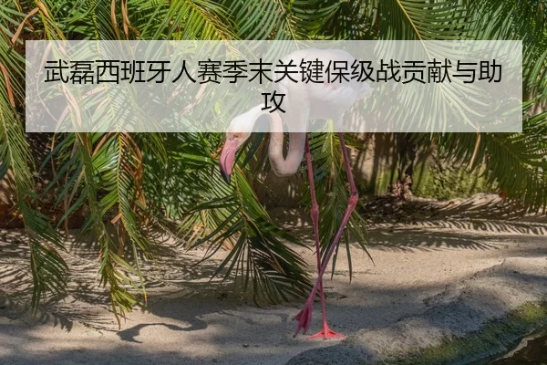 武磊西班牙人赛季末关键保级战贡献与助攻