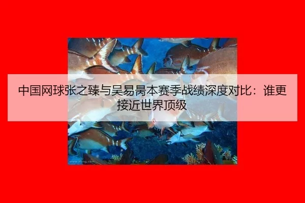 中国网球张之臻与吴易昺本赛季战绩深度对比：谁更接近世界顶级